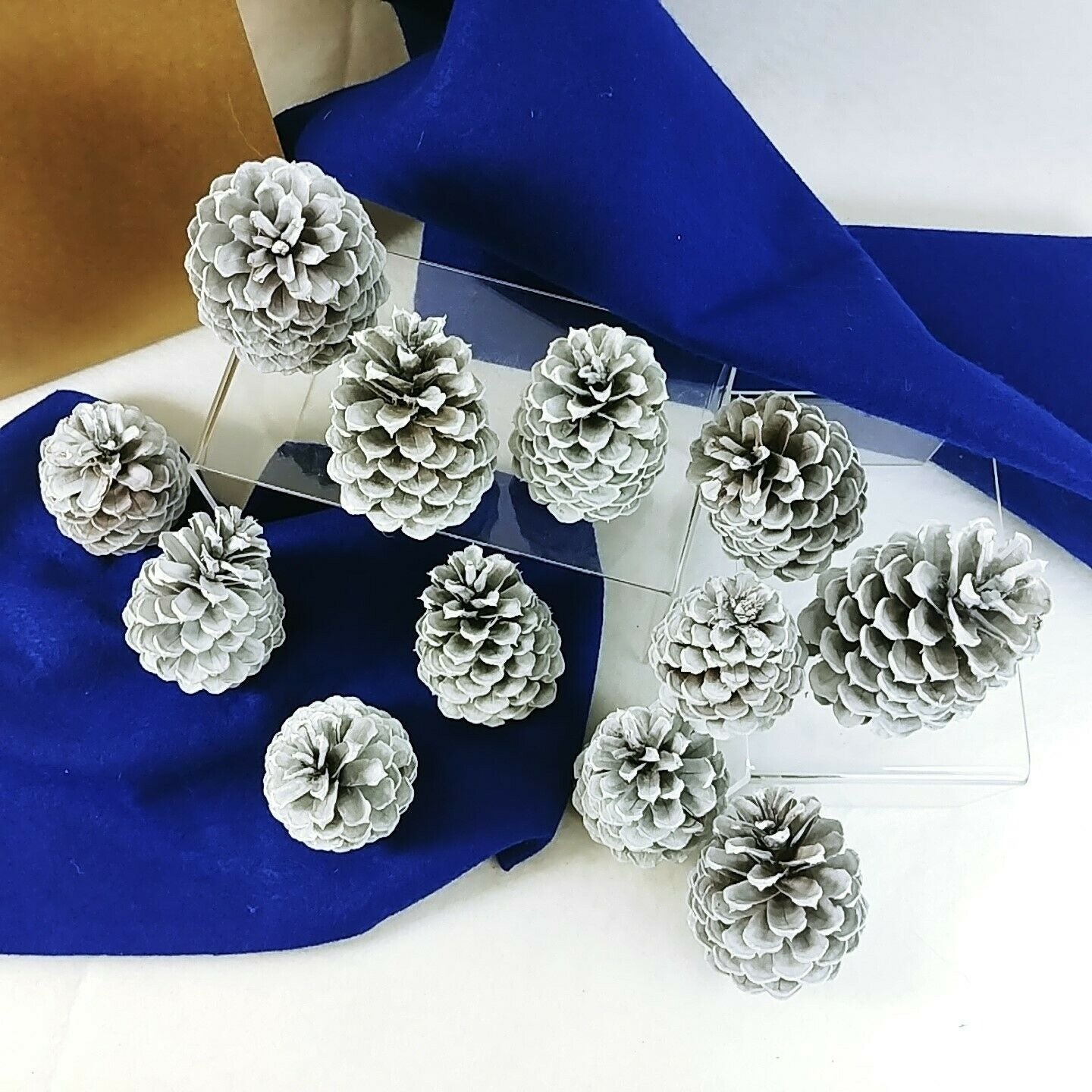 Pinecones Home Decor Crafting Pkg of 12 Handcrafted by Collins Creek Collections