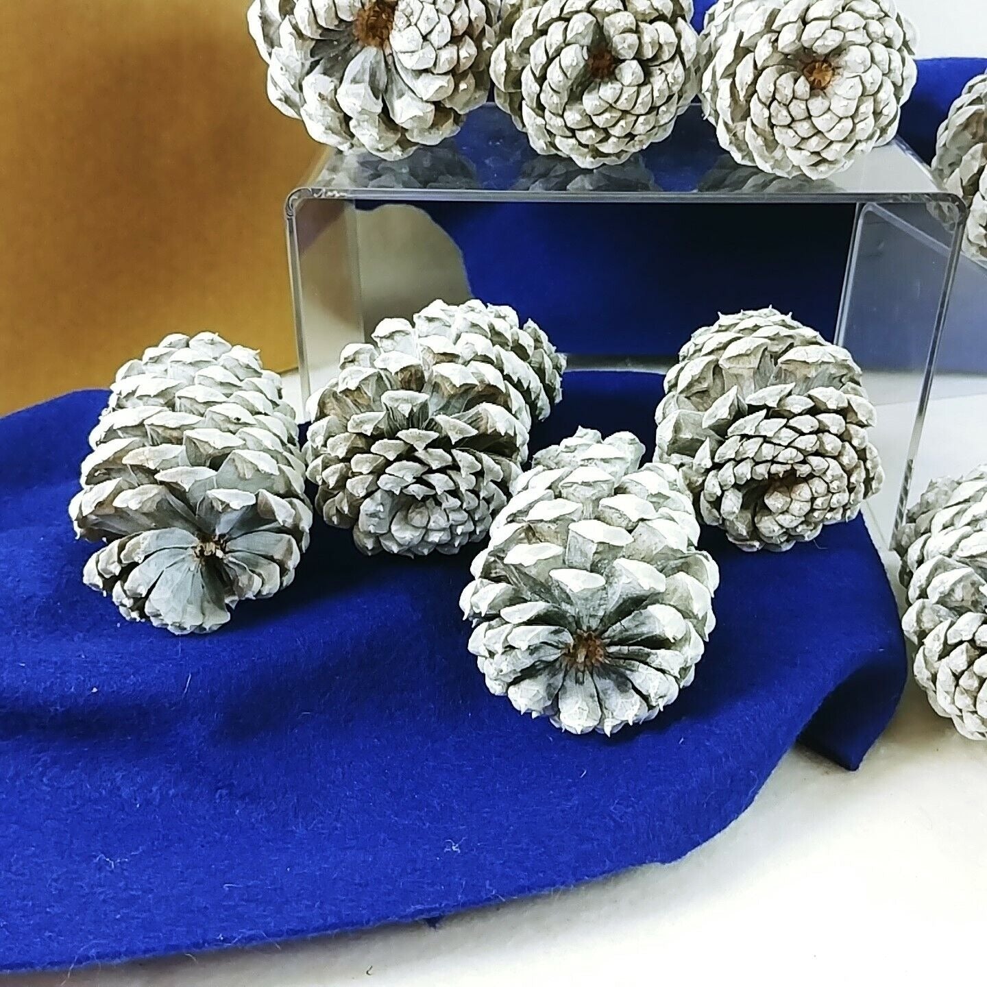 Pinecones Home Decor Crafting Pkg of 12 Handcrafted by Collins Creek Collections