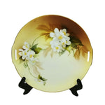 Load image into Gallery viewer, Vtg RS Germany Floral Porcelain Plate  Decorative 9.75&quot; with Gold Rim &amp; Handles
