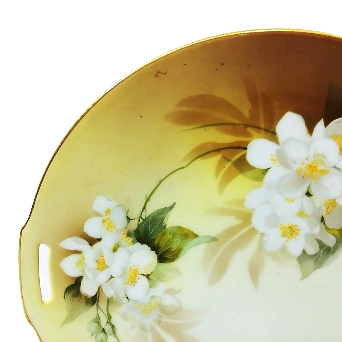 Vtg RS Germany Floral Porcelain Plate  Decorative 9.75" with Gold Rim & Handles