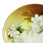 Load image into Gallery viewer, Vtg RS Germany Floral Porcelain Plate  Decorative 9.75&quot; with Gold Rim &amp; Handles
