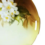 Load image into Gallery viewer, Vtg RS Germany Floral Porcelain Plate  Decorative 9.75&quot; with Gold Rim &amp; Handles
