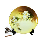 Load image into Gallery viewer, Vtg RS Germany Floral Porcelain Plate  Decorative 9.75&quot; with Gold Rim &amp; Handles
