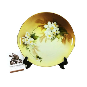 Vtg RS Germany Floral Porcelain Plate  Decorative 9.75" with Gold Rim & Handles