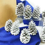 Load image into Gallery viewer, Pinecones Home Decor Crafting Pkg of 12 Handcrafted by Collins Creek Collections
