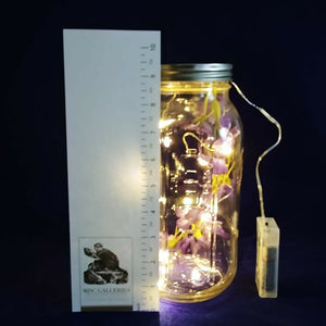 Ball Mason Jar Lantern Light Storage Canister Collins Creek Collection 9.5" Tall
