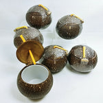 Load image into Gallery viewer, Coconut Drinkware Tiki Bar 6 pc set Lids and Straws Removable Liner New

