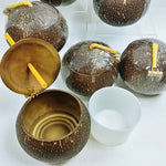 Load image into Gallery viewer, Coconut Drinkware Tiki Bar 6 pc set Lids and Straws Removable Liner New
