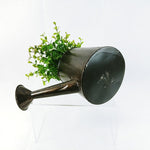 Load image into Gallery viewer, Watering Can Floral Decor Table Decor Handcrafted by Collins Creek Collections
