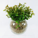 Load image into Gallery viewer, Glass Bowl Vase with Faux Greenery Handcrafted by Collins Creek Collections
