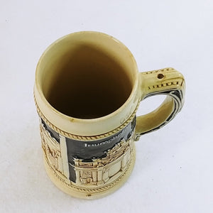 Beer Mug Stein Innsbruck with Goldenes Dachl Triumphpfore Buildings 7" Tall