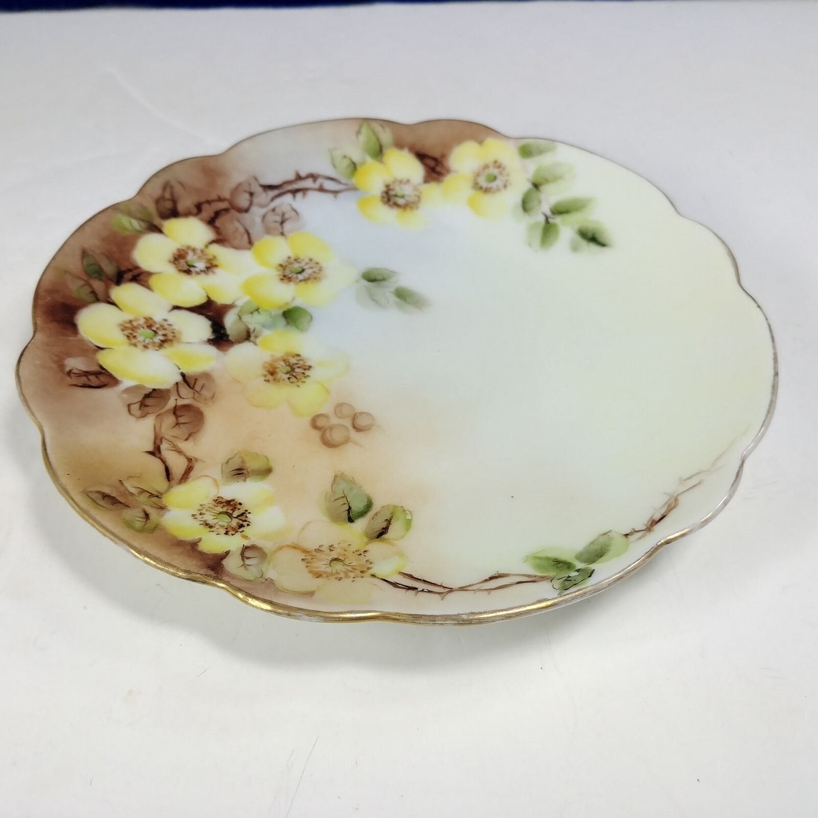 J and C Bavaria Collector Plate Hand Painted Yellow Floral