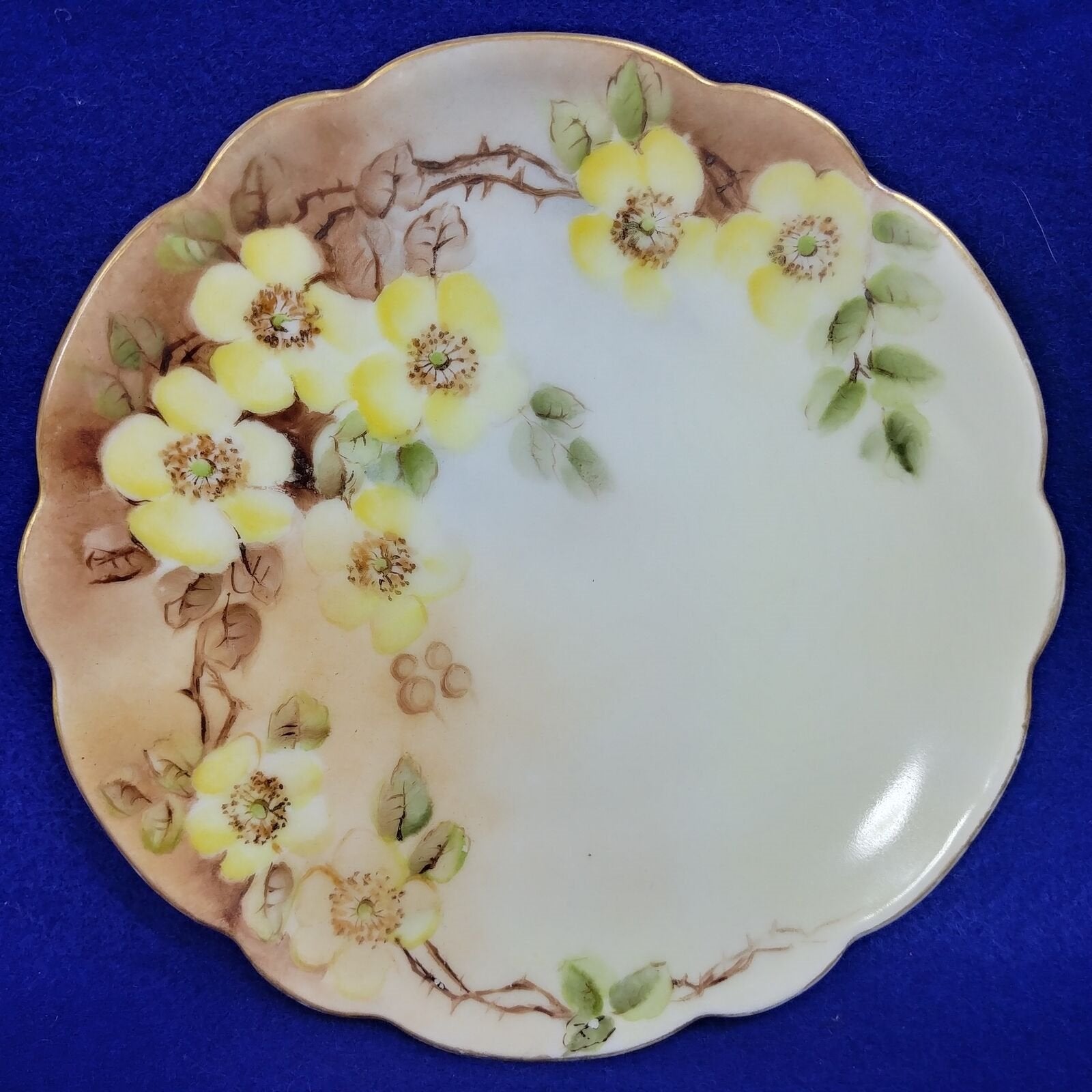 J and C Bavaria Collector Plate Hand Painted Yellow Floral