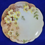 Load image into Gallery viewer, J and C Bavaria Collector Plate Hand Painted Yellow Floral
