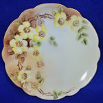 Load image into Gallery viewer, J and C Bavaria Collector Plate Hand Painted Yellow Floral
