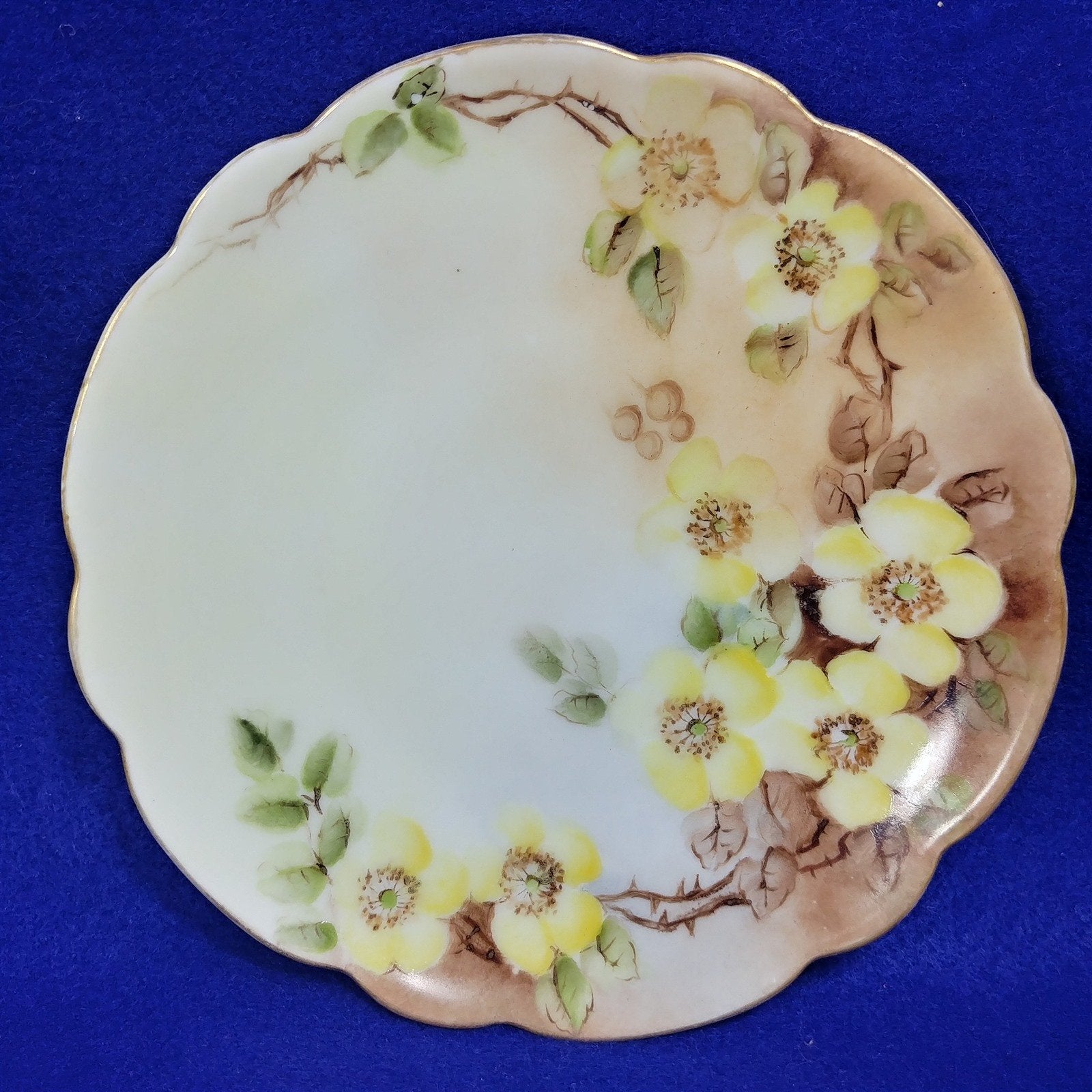 J and C Bavaria Collector Plate Hand Painted Yellow Floral