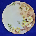 Load image into Gallery viewer, J and C Bavaria Collector Plate Hand Painted Yellow Floral
